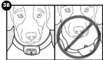 PETSAFE PBC00-16368 - ATTENTION - 2