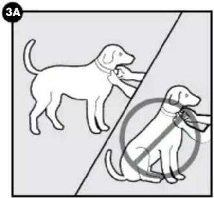 PETSAFE PBC00-16368 - VOORZICHTIG - 1