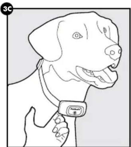 PETSAFE PBC00-16368 - ATENCIÓN - 3