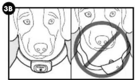 PETSAFE PBC00-16368 - VORSICHT - 2