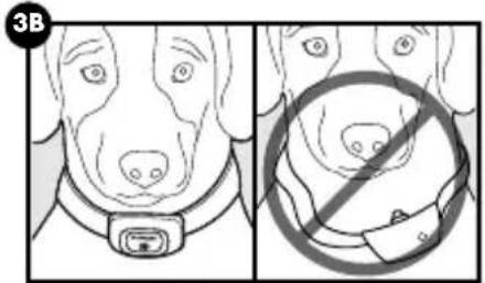 PETSAFE PBC00-16368 - VOORZICHTIG - 2