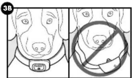 PETSAFE PBC00-16368 - ATENCIÓN - 2