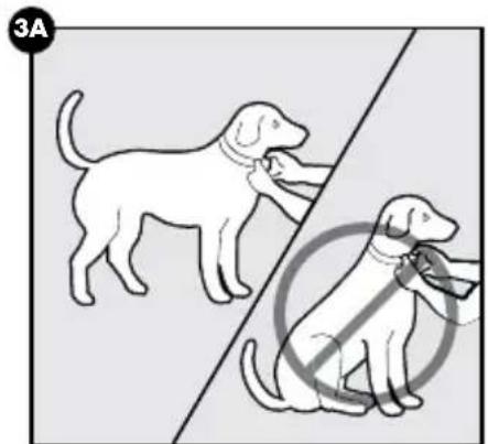 PETSAFE PBC00-16368 - VORSICHT - 1