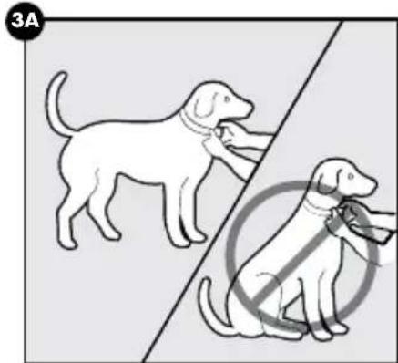 PETSAFE PBC00-16368 - ATTENTION - 1