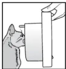 PETSAFE PPA19-16145 - Enregistrer des chats dans la chatière PetSafe® à puce électronique - 1