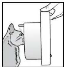 PETSAFE PPA19-16145 - Katten in het PetSafe®-microchipkattenluik programmeren - 1