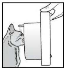 PETSAFE PPA19-16145 - Einprogrammieren von Katzen in die PetSafe® Mikrochip-Katzenklappe - 1
