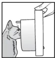PETSAFE PPA19-16145 - Programar gatos en la puerta con microchip PetSafe® - 1