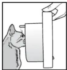 PETSAFE PPA19-16145 - Programming Cats into the PetSafe ^® Microchip Cat Flap - 1