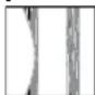 SANUS Classic MLL11 - 2 - 1