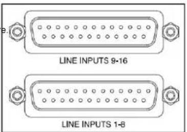 FOCUSRITE Red 8Line - Entrées de ligne - 1