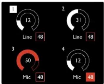 FOCUSRITE Red 8Line - Écran de présentation du préampli - 1