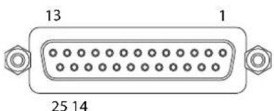 FOCUSRITE RedNet A16R - Brochage des connecteurs - 2