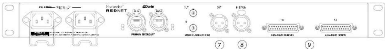 FOCUSRITE RedNet A16R - Entrée Word Clock - 1