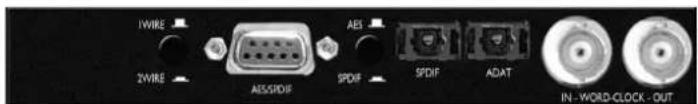 FOCUSRITE ISA 110 - Convertisseur Analogique Numérique optionnel - 1
