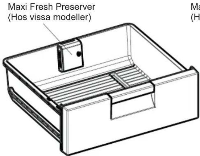 SHARP SJ-BA09DTXLF-EU - Maxi-fresh preserver - 1