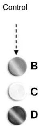 BARTSCHER 296630 - Description of the controls. - 2