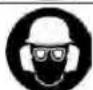 ATIKA BF 31-4T - Symbols for the power pruner - 2