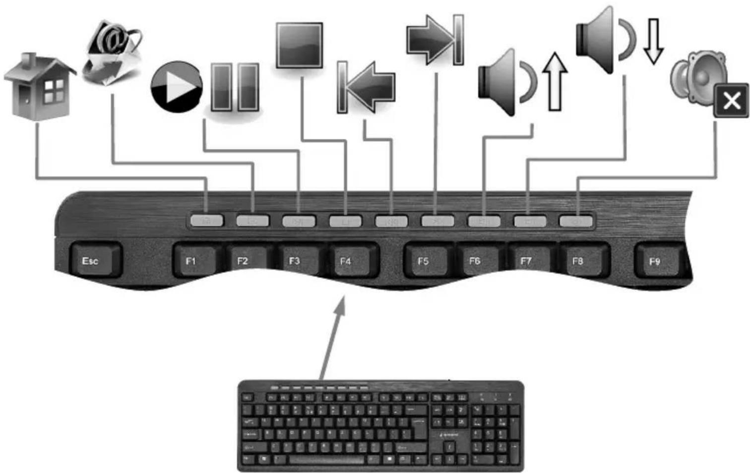 Gembird KB-UM-106 - gembird® - 3