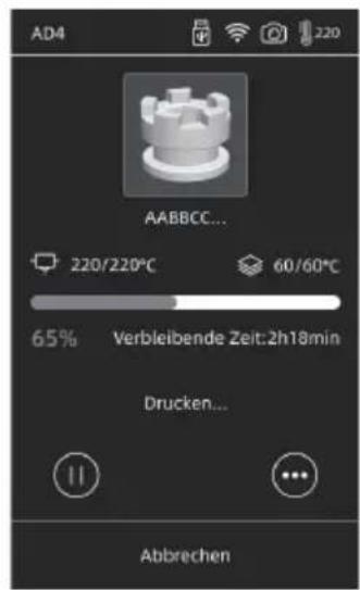 Flashforge Adventurer 4 - Methode 1: WLAN-Verbindung - 2