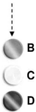 BARTSCHER 296511 - Beschreibung der Bedienung. - 2