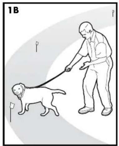PETSAFE Stay & Play PIF00-12917 - MANUAL DE ADIESTRAMIENTO - 1