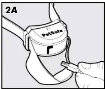 PETSAFE Stay & Play PIF00-12917 - Caricamento del collare ricevitore - 1