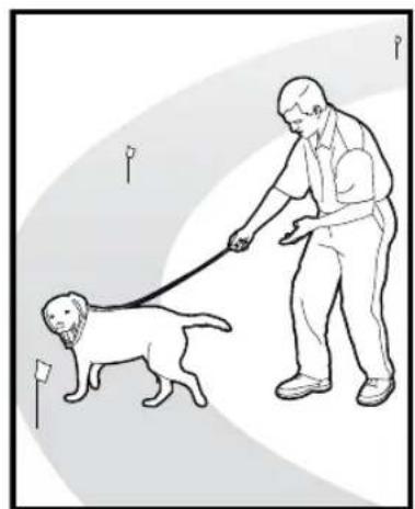 PETSAFE Stay & Play PIF00-12917 - ÉTAPE 6 - 2