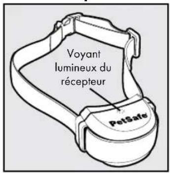 PETSAFE Stay & Play PIF00-12917 - Définitions - 2