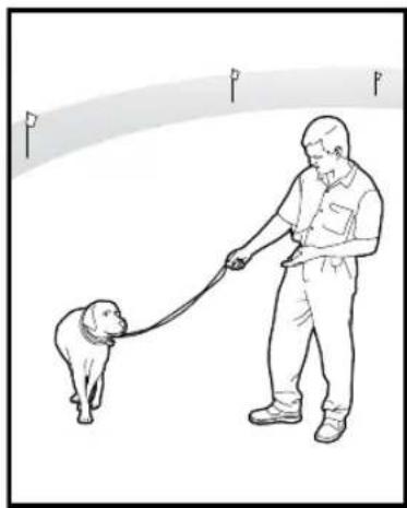 PETSAFE Stay & Play PIF00-12917 - VOORZICHTIG - 3