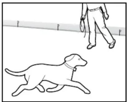 PETSAFE Stay & Play PIF00-12917 - Préparatifs : - 1