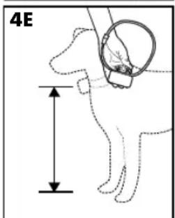 PETSAFE Stay & Play PIF00-12917 - Procedura: - 3
