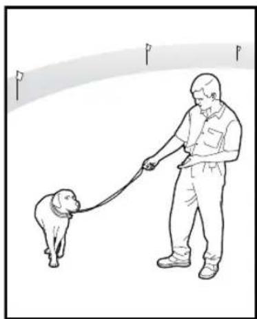 PETSAFE Stay & Play PIF00-12917 - ÉTAPE 6 - 3
