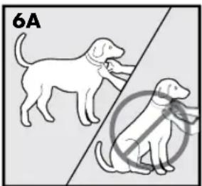 PETSAFE Stay & Play PIF00-12917 - CAUTION - 1