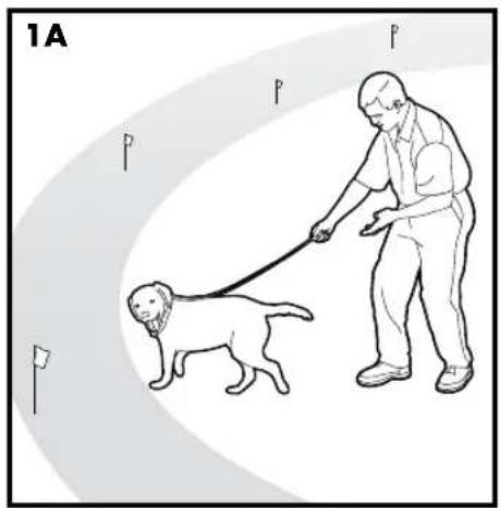 PETSAFE Stay & Play PIF00-12917 - Pasos: - 1