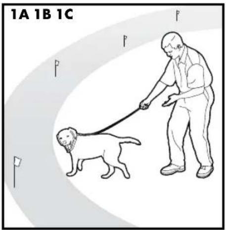 PETSAFE Stay & Play PIF00-12917 - Schritte: - 1