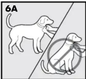 PETSAFE Stay & Play PIF00-12917 - ATTENZIONE - 1