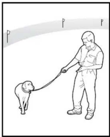 PETSAFE Stay & Play PIF00-12917 - Steps: - 3