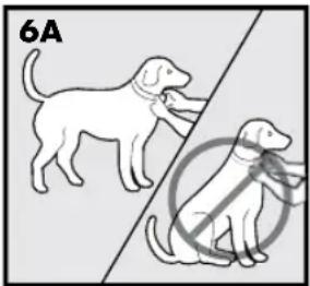 PETSAFE Stay & Play PIF00-12917 - ATTENTION - 1
