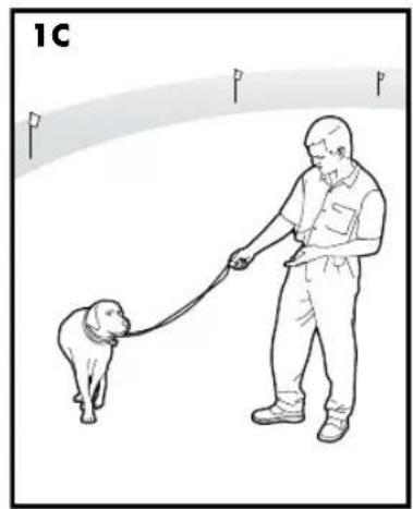 PETSAFE Stay & Play PIF00-12917 - MANUAL DE ADIESTRAMIENTO - 2
