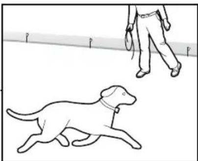 PETSAFE Stay & Play PIF00-12917 - Preparazione: - 1