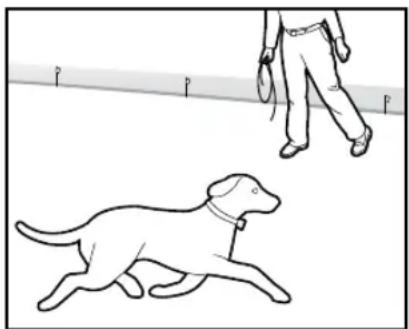 PETSAFE Stay & Play PIF00-12917 - Einstellungen: - 1
