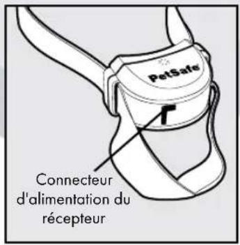 PETSAFE Stay & Play PIF00-12917 - Définitions - 4