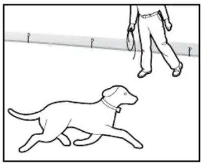 PETSAFE Stay & Play PIF00-12917 - Setup: - 1