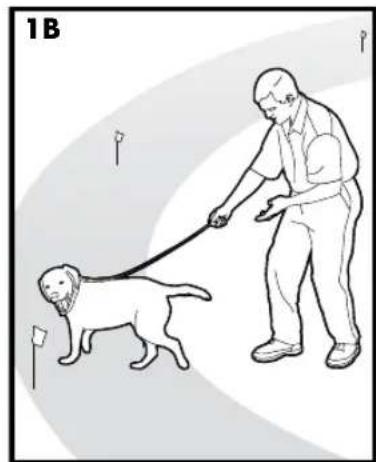 PETSAFE Stay & Play PIF00-12917 - PUNTO 6 - 2