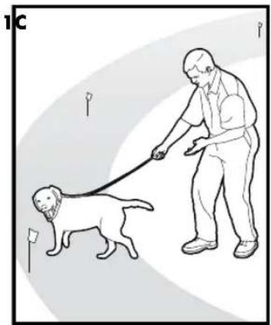 PETSAFE Stay & Play PIF00-12917 - VOORZICHTIG - 2