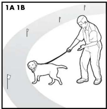 PETSAFE Stay & Play PIF00-12917 - Stappen: - 1
