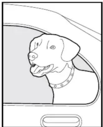 PETSAFE Stay & Play PIF00-12917 - Taking Your Pet Out of the Pet Area - 1