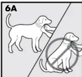 PETSAFE Stay & Play PIF00-12917 - VOORZICHTIG - 1