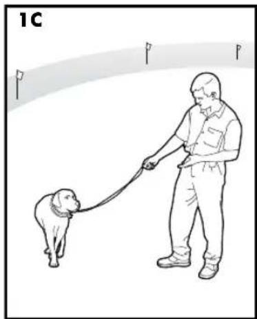 PETSAFE Stay & Play PIF00-12917 - PUNTO 6 - 3